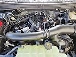 2024 Ford Expedition 4x4 SUV for sale #69656 - photo 18