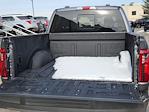 2025 Ford F-150 SuperCrew Cab 4x4 Pickup for sale #69941 - photo 13