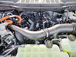 2025 Ford F-150 SuperCrew Cab 4x4 Pickup for sale #69941 - photo 16