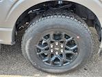 2025 Ford F-150 SuperCrew Cab 4x4 Pickup for sale #69963 - photo 15