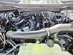 2025 Ford F-150 SuperCrew Cab 4x4 Pickup for sale #70011 - photo 16