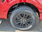 2025 Ford F-150 SuperCrew Cab 4x4 Pickup for sale #70021 - photo 15