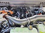 2025 Ford F-150 SuperCrew Cab 4x4 Pickup for sale #70021 - photo 16