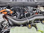 2025 Ford F-150 SuperCrew Cab 4x4 Pickup for sale #70038 - photo 17