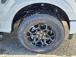 2025 Ford F-150 SuperCrew Cab 4x4 Pickup for sale #70046 - photo 16