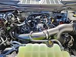 2025 Ford F-150 SuperCrew Cab 4x4 Pickup for sale #70050 - photo 17