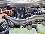 2025 Ford F-150 SuperCrew Cab 4x4 Pickup for sale #70066 - photo 16