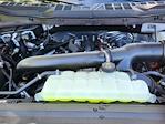 2025 Ford F-150 SuperCrew Cab 4x4 Pickup for sale #70076 - photo 17