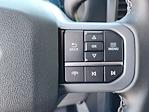 2025 Ford F-150 SuperCrew Cab 4x4 Pickup for sale #70076 - photo 20