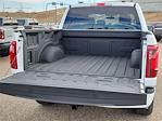 2025 Ford F-150 SuperCrew Cab 4x4 Pickup for sale #70103 - photo 14