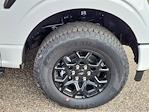 2025 Ford F-150 SuperCrew Cab 4x4 Pickup for sale #70103 - photo 16