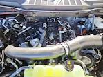 2025 Ford F-150 SuperCrew Cab 4x4 Pickup for sale #70111 - photo 17