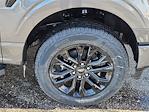 2025 Ford F-150 SuperCrew Cab 4x4 Pickup for sale #70118 - photo 15