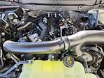 2025 Ford F-150 SuperCrew Cab 4x4 Pickup for sale #70136 - photo 17