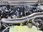 2025 Ford F-150 SuperCrew Cab 4x4 Pickup for sale #70173 - photo 16