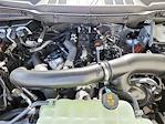 2025 Ford F-150 SuperCrew Cab 4x4 Pickup for sale #70197 - photo 16