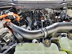 2025 Ford F-150 SuperCrew Cab 4x4 Pickup for sale #70203 - photo 17