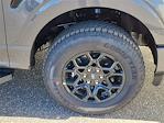 2025 Ford F-150 SuperCrew Cab 4x4 Pickup for sale #70207 - photo 16