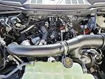 2025 Ford F-150 SuperCrew Cab 4x4 Pickup for sale #70207 - photo 17