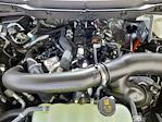 2025 Ford F-150 SuperCrew Cab 4x4 Pickup for sale #70209 - photo 17