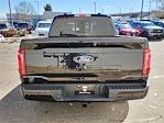 2025 Ford F-150 SuperCrew Cab 4x4 Pickup for sale #70212 - photo 3