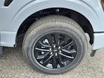 2025 Ford F-150 SuperCrew Cab 4x4 Pickup for sale #70216 - photo 16