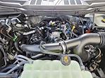 2025 Ford F-150 SuperCrew Cab 4x4 Pickup for sale #70229 - photo 17