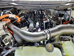 2025 Ford F-150 SuperCrew Cab 4x4 Pickup for sale #70237 - photo 17