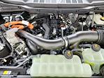 2025 Ford F-150 SuperCrew Cab 4x4 Pickup for sale #70270 - photo 17
