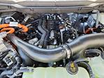 2025 Ford F-150 SuperCrew Cab 4x4 Pickup for sale #70285 - photo 17