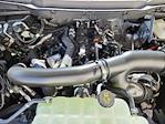 2025 Ford F-150 SuperCrew Cab 4x4 Pickup for sale #70290 - photo 17