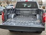 2025 Ford F-150 SuperCrew Cab 4x4 Pickup for sale #70314 - photo 14