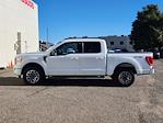 2023 Ford F-150 SuperCrew Cab 4WD Pickup for sale #70314B - photo 5