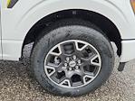 2025 Ford F-150 SuperCrew Cab 4x4 Pickup for sale #70333 - photo 16