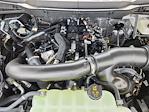 2025 Ford F-150 SuperCrew Cab 4x4 Pickup for sale #70362 - photo 17