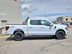 2025 Ford F-150 SuperCrew Cab 4x4 Pickup for sale #70362 - photo 3