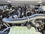 2025 Ford F-150 SuperCrew Cab 4x4 Pickup for sale #70363 - photo 17