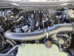 2025 Ford F-150 SuperCrew Cab 4x4 Pickup for sale #70380 - photo 17