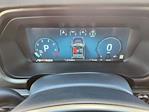 2025 Ford F-150 SuperCrew Cab 4x4 Pickup for sale #70382 - photo 20