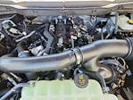2025 Ford F-150 SuperCrew Cab 4x4 Pickup for sale #70411 - photo 17