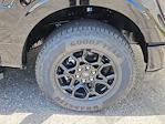 2025 Ford F-150 SuperCrew Cab 4x4 Pickup for sale #70412 - photo 16