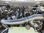 2025 Ford F-150 SuperCrew Cab 4x4 Pickup for sale #70412 - photo 17