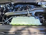 2025 Ford F-150 SuperCrew Cab 4x4 Pickup for sale #70439 - photo 17
