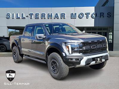 2025 Ford F-150 SuperCrew Cab 4x4 Pickup for sale #70461 - photo 1
