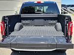 2025 Ford F-150 SuperCrew Cab 4x4 Pickup for sale #70463 - photo 14