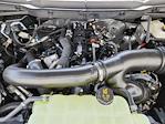 2025 Ford F-150 SuperCrew Cab 4x4 Pickup for sale #70497 - photo 17