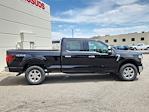 2025 Ford F-150 SuperCrew Cab 4x4 Pickup for sale #70497 - photo 3