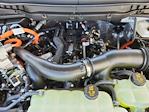 2025 Ford F-150 SuperCrew Cab 4x4 Pickup for sale #70498 - photo 17