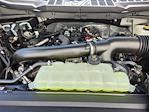 2025 Ford F-150 SuperCrew Cab 4x4 Pickup for sale #70505 - photo 17