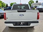 2025 Ford F-150 SuperCrew Cab 4x4 Pickup for sale #70539 - photo 4